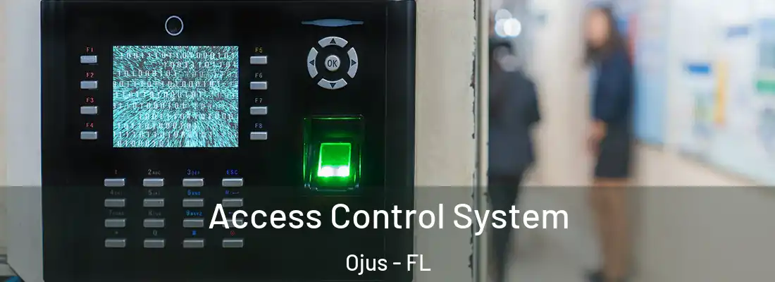 Access Control System Ojus - FL