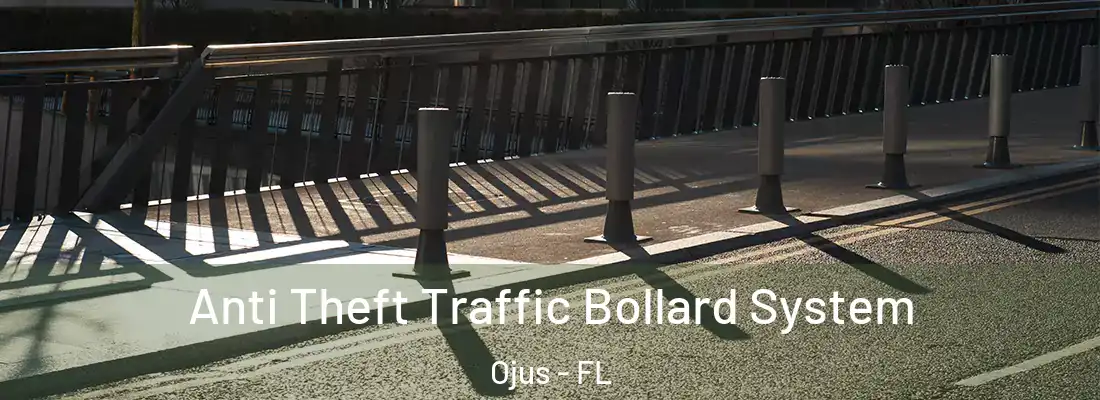  Anti Theft Traffic Bollard System Ojus - FL