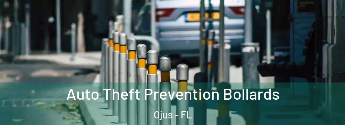  Auto Theft Prevention Bollards Ojus - FL