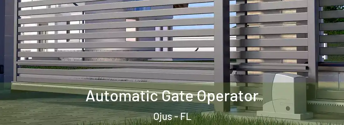  Automatic Gate Operator Ojus - FL