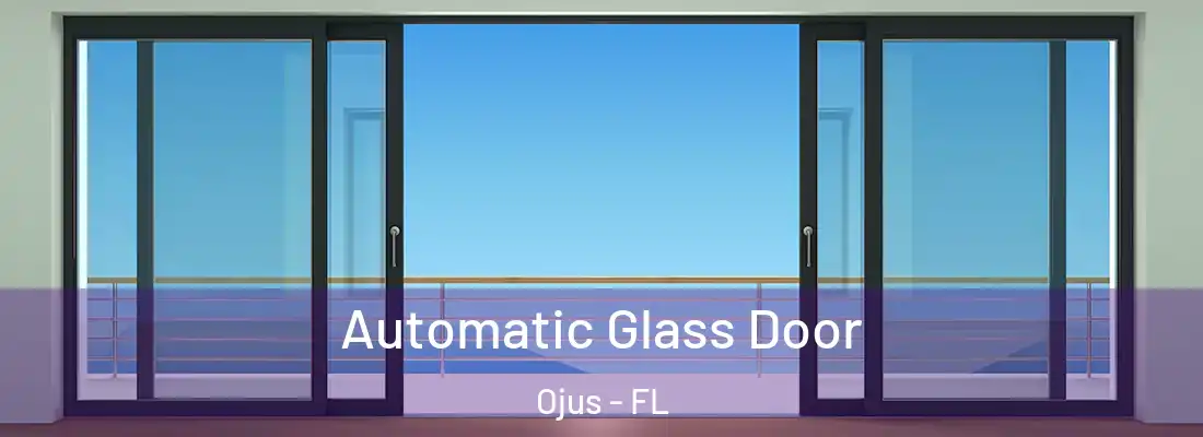  Automatic Glass Door Ojus - FL