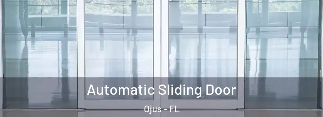 Automatic Sliding Door Ojus - FL