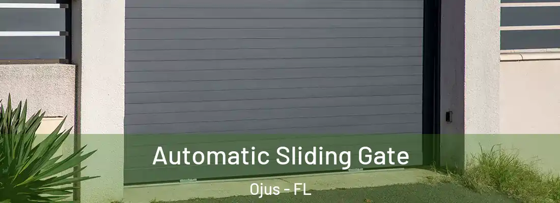 Automatic Sliding Gate Ojus - FL