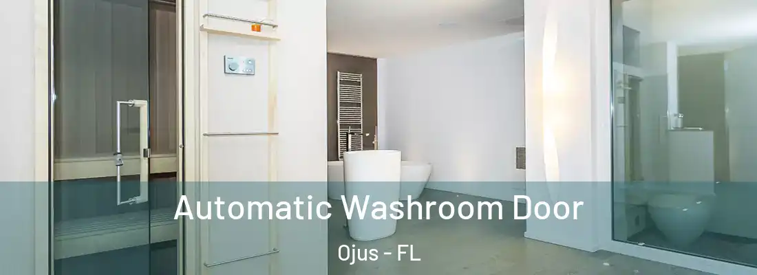 Automatic Washroom Door Ojus - FL