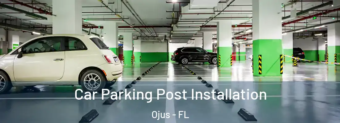  Car Parking Post Installation Ojus - FL