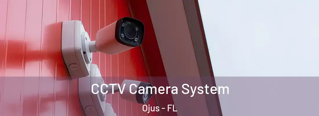  CCTV Camera System Ojus - FL