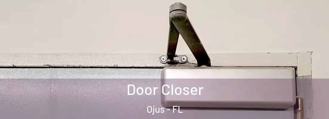  Door Closer Ojus - FL