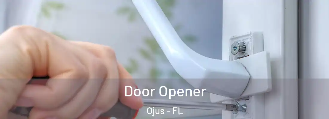  Door Opener Ojus - FL
