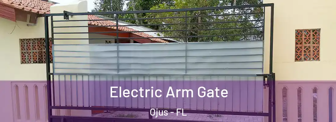  Electric Arm Gate Ojus - FL