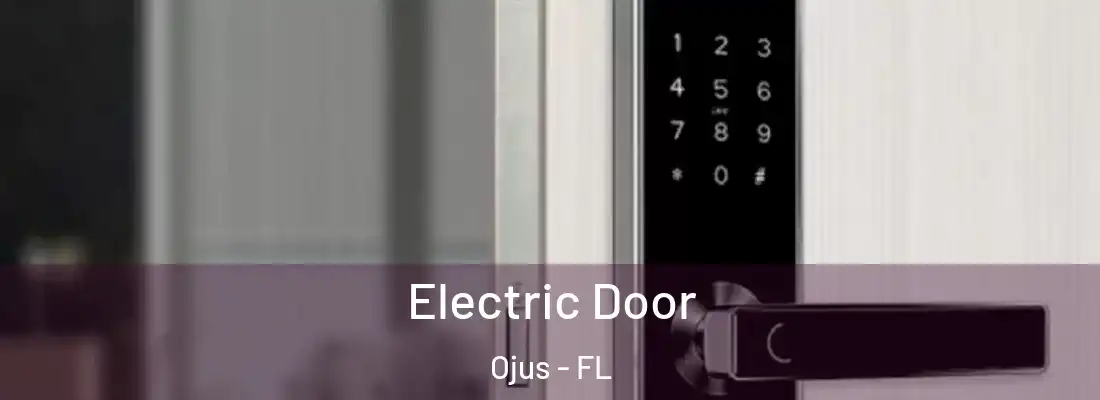  Electric Door Ojus - FL