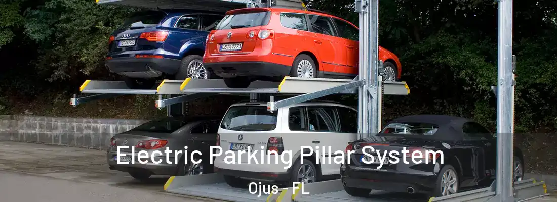  Electric Parking Pillar System Ojus - FL