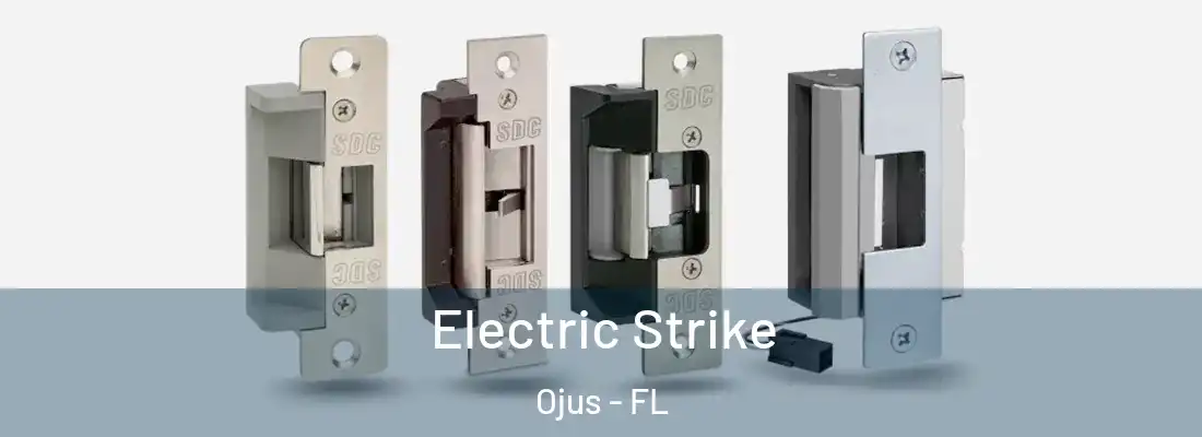  Electric Strike Ojus - FL