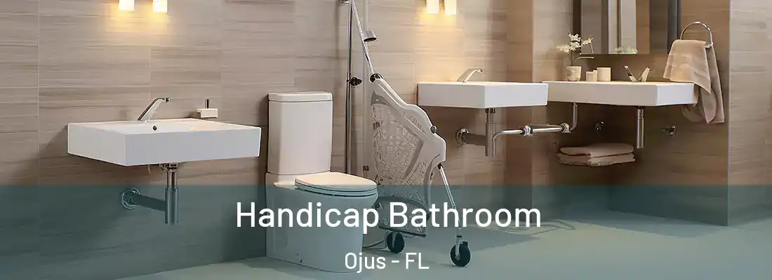  Handicap Bathroom Ojus - FL
