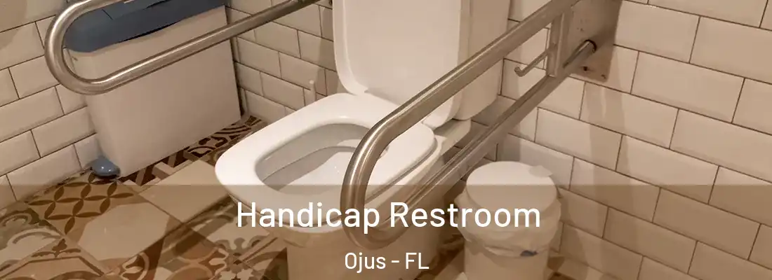  Handicap Restroom Ojus - FL