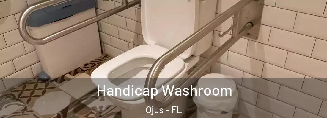  Handicap Washroom Ojus - FL