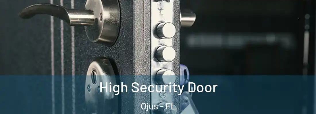  High Security Door Ojus - FL