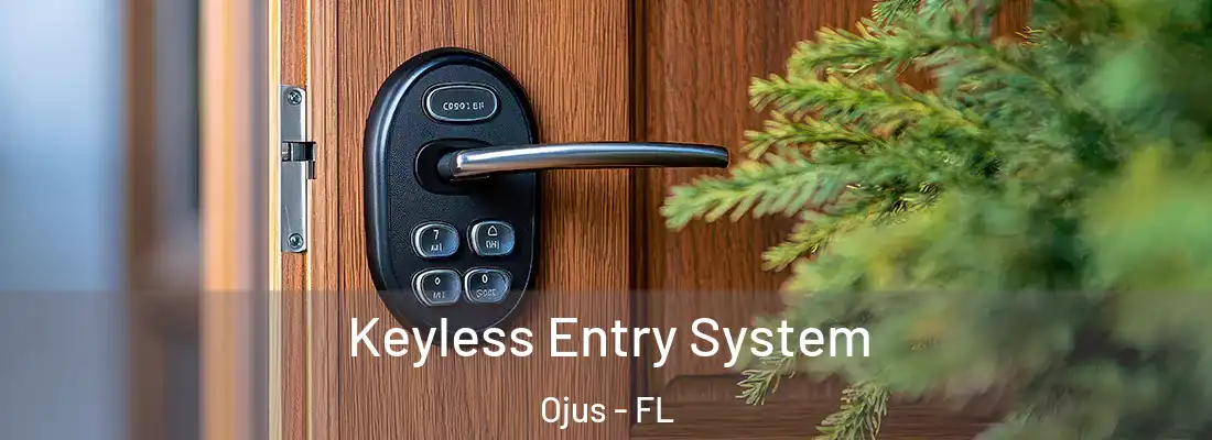 Keyless Entry System Ojus - FL