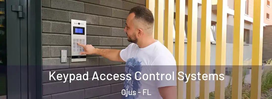 Keypad Access Control Systems Ojus - FL