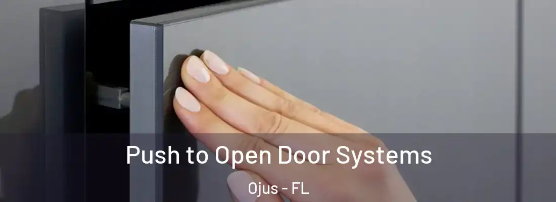 Push to Open Door Systems Ojus - FL