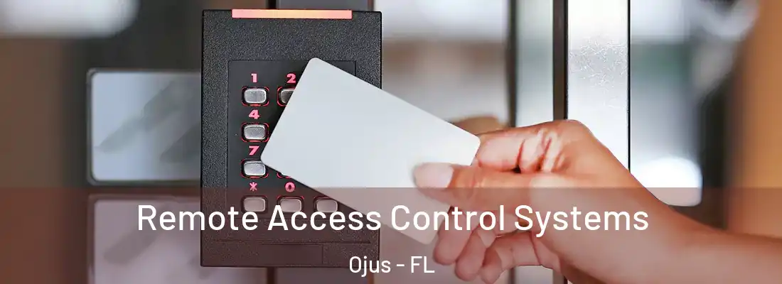 Remote Access Control Systems Ojus - FL