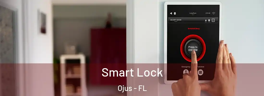  Smart Lock Ojus - FL
