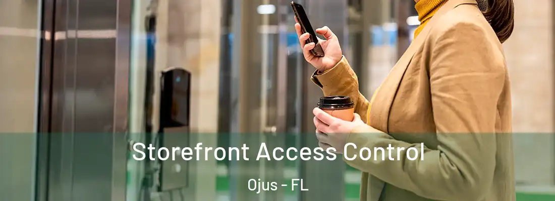 Storefront Access Control Ojus - FL