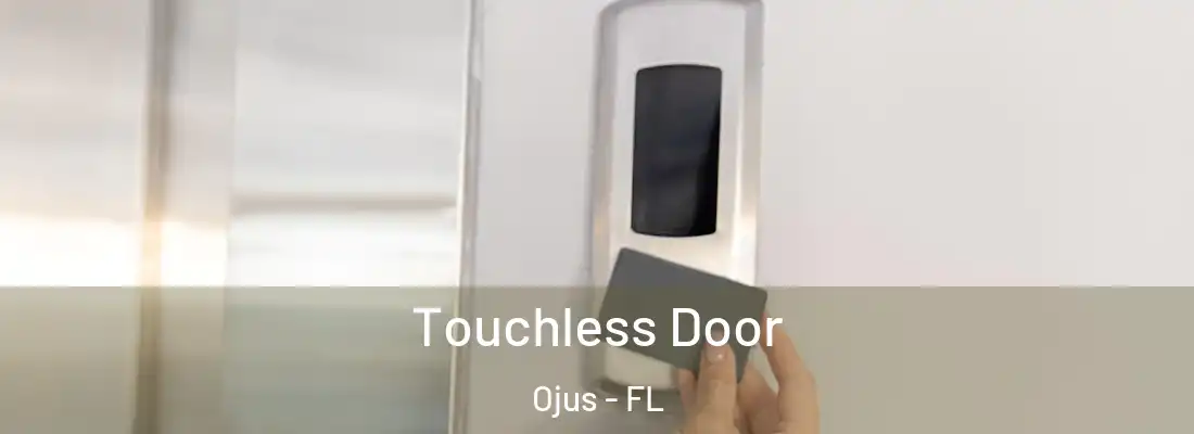  Touchless Door Ojus - FL