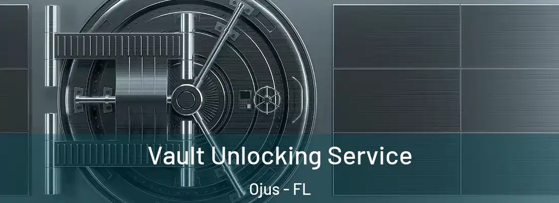  Vault Unlocking Service Ojus - FL