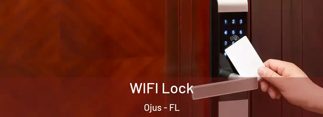  WIFI Lock Ojus - FL